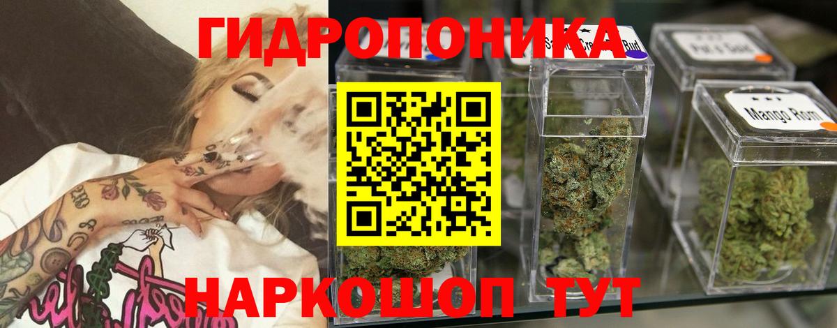 Конопля AK-47 Избербаш